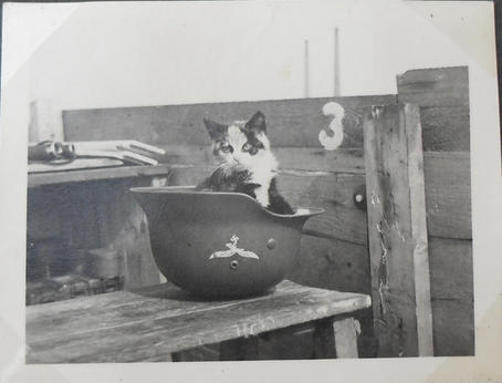 Luftwaffe Photo Album