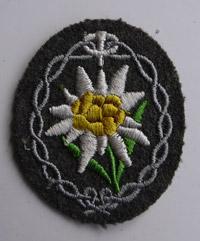Mountain Troop Patch
